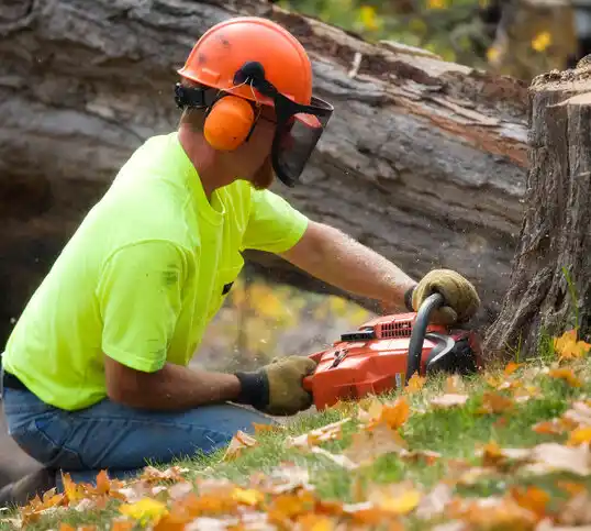 tree services Atwater